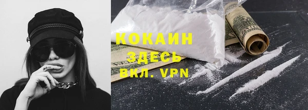 прущий лед Вяземский