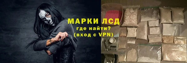 прущий лед Вяземский