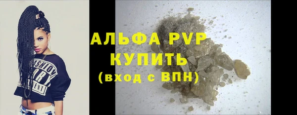 прущий лед Вяземский