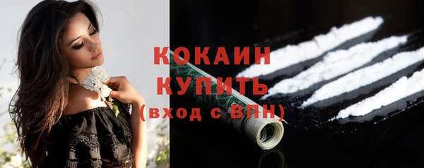 гашик Вязьма