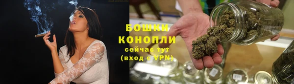 прущий лед Вяземский