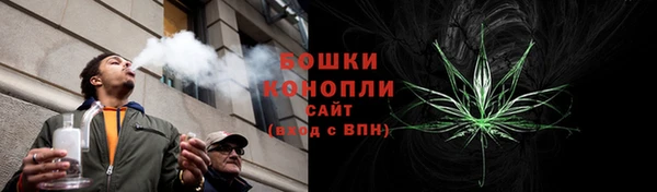 гашик Вязьма