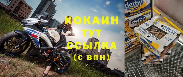 прущий лед Вяземский