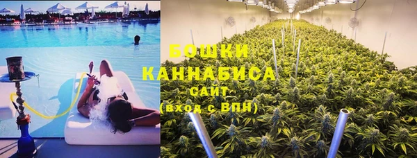 гашик Вязьма