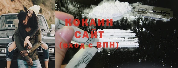 прущий лед Вяземский