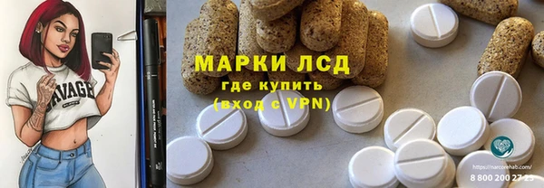 прущий лед Вяземский